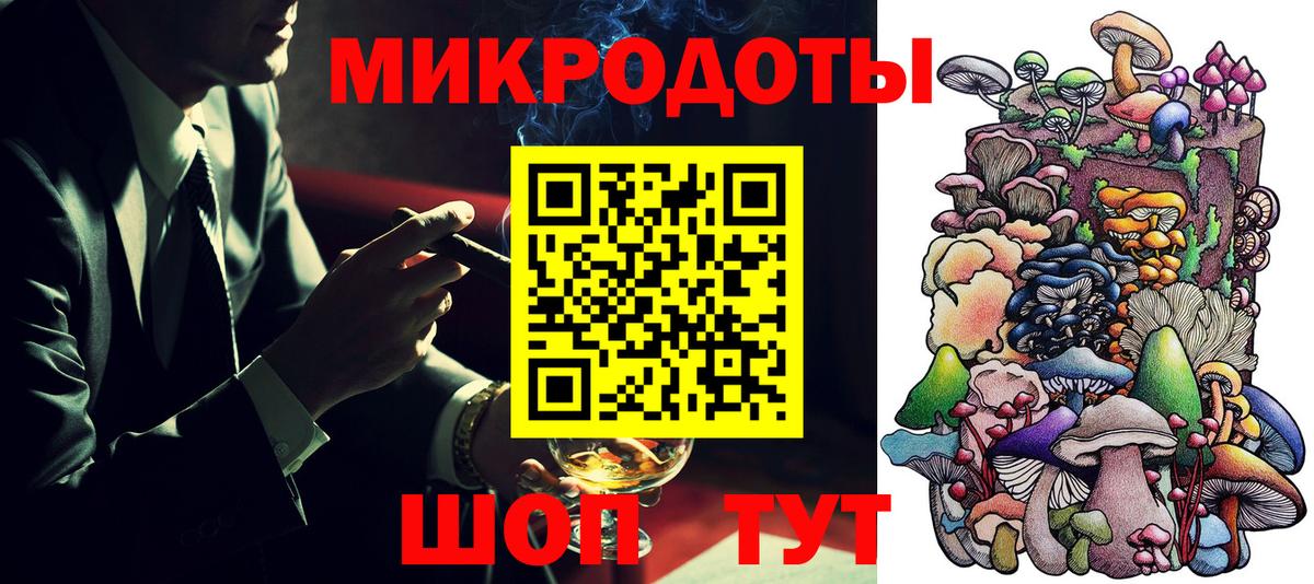 Галлюциногенные грибы Psilocybe Асино